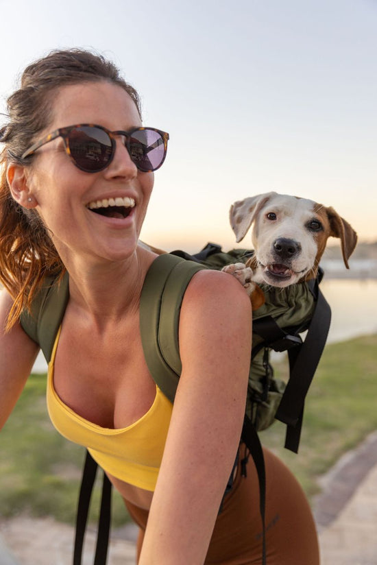 The ethical dog carrier