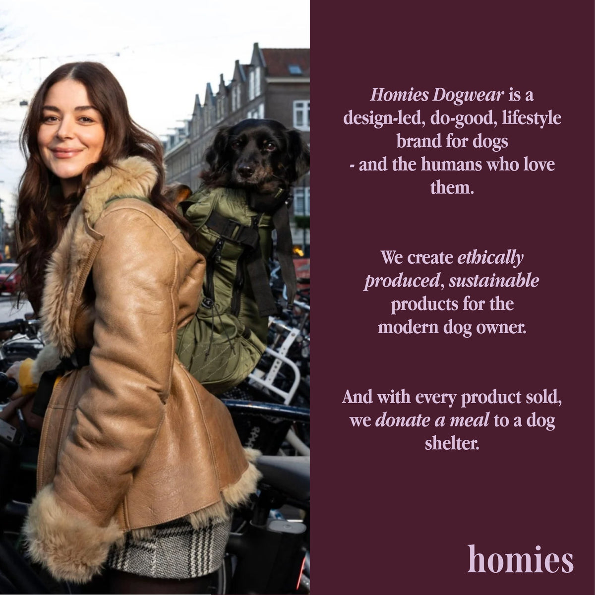 hm visual brand aubergine
