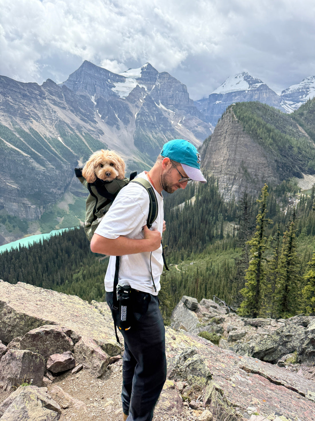 Is een hondenrugzak gevaarlijk?