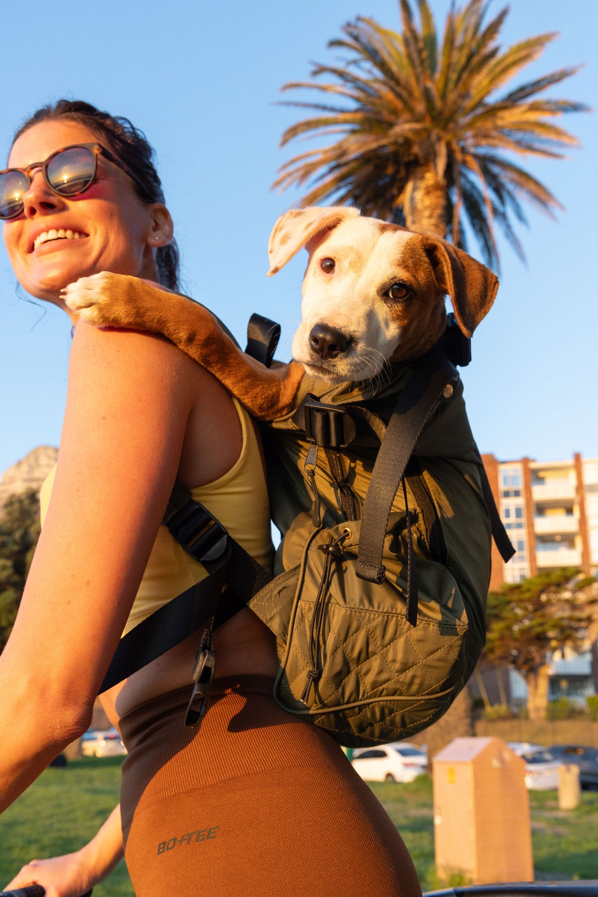 Dog carriers